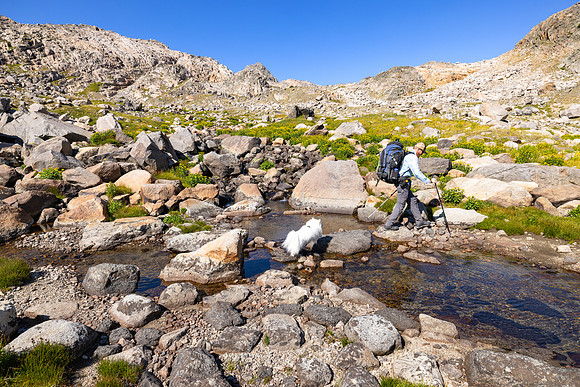 CGNF, AB Wilderness: hiking west of Cladocera Lake (5)