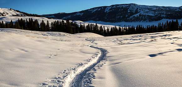 Snowshoeing in Lamar Valley