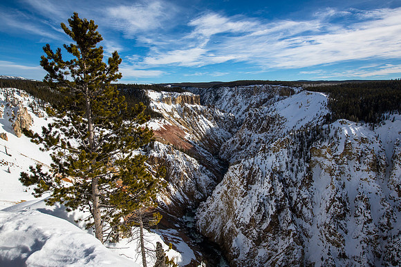 Grand Canyon of the Yellowstone