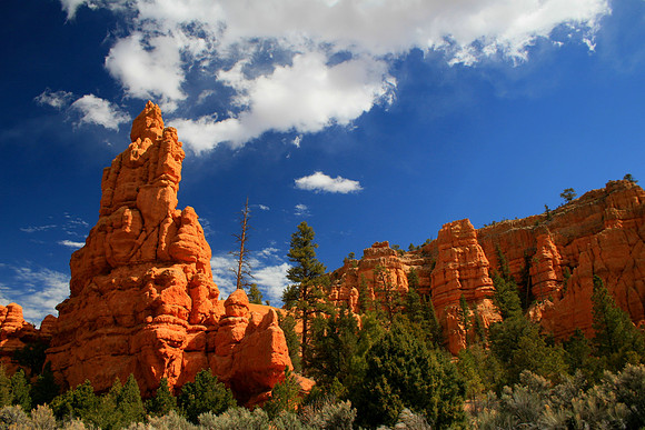 Red Canyon Hoodoo