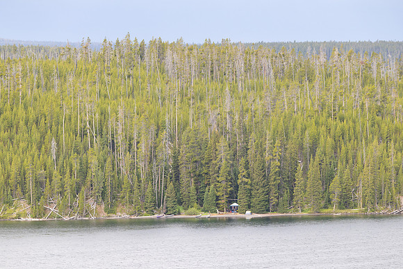 Campsite 8Q9 along Shoshone Lake
