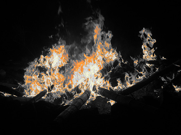 Bamboo Bonfire