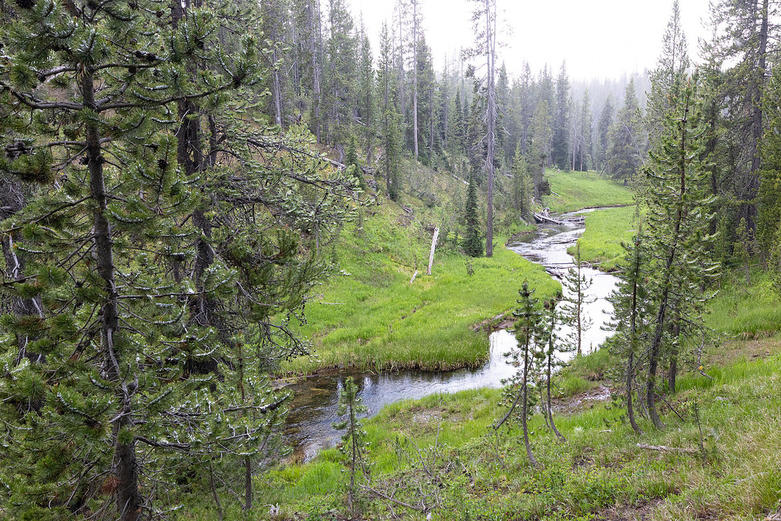 Shoshone Creek in a summer snow flurry (2)