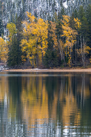 Fall Colors at Lake McDonald