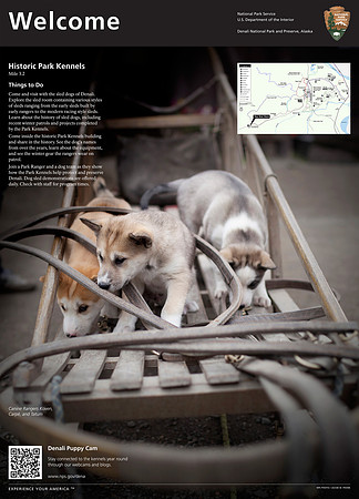 Welcome to the Kennels