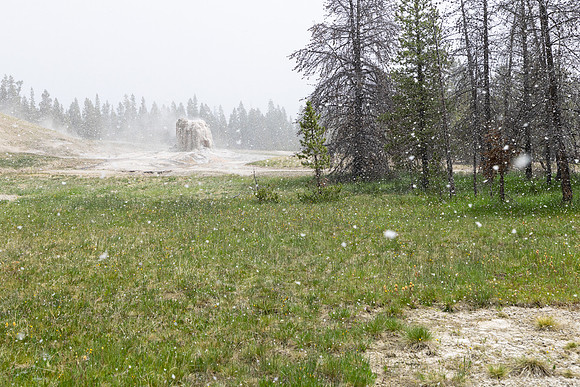 Summer snow storm at Lone Star Geyser