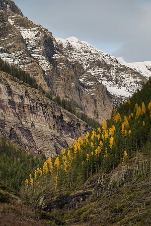 Hidden Creek Drainage