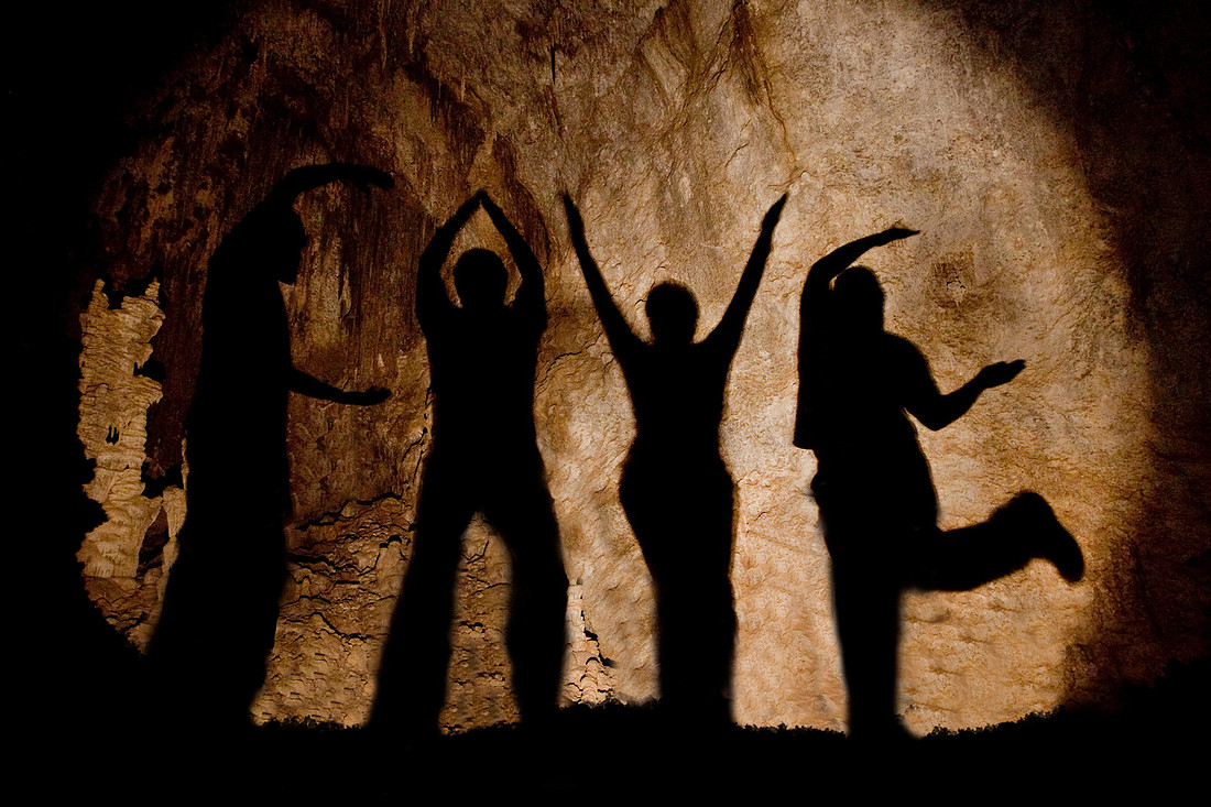 Shadow Puppets