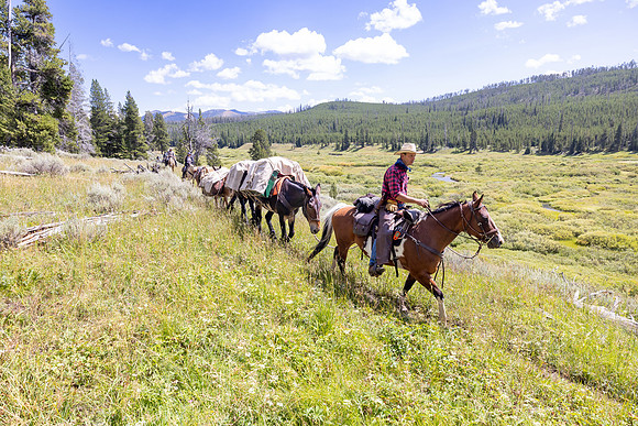 Fan Creek Trail: Stock outfitters heading back to the trailhead