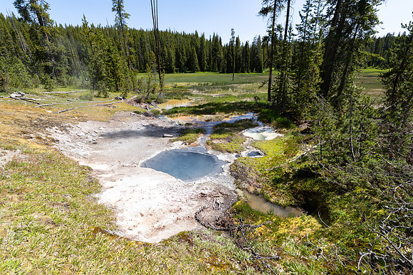 Shoshone Geyser Basin: SBSGNN009 in the Bog Spring Group