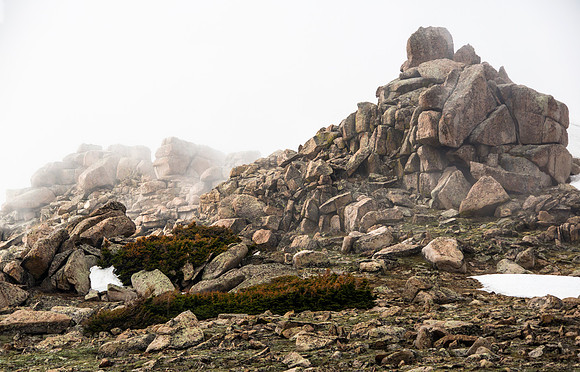 Shrouded in Clouds