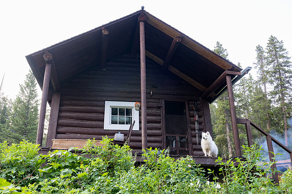 Custer Gallatin NF Mystic Lake Cabin: front porch