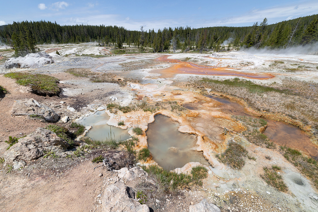 Shoshone Geyser Basin: SMMGNN031 in the Minute Man Group