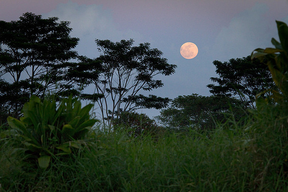 Full Moon Rise