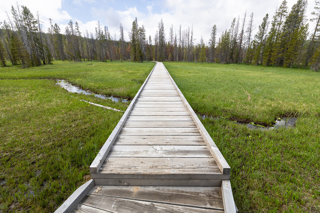 Hiker bridge near OA3 (2)