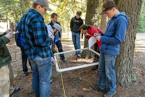 Fish Creek Planting and Monitoring Project 2016