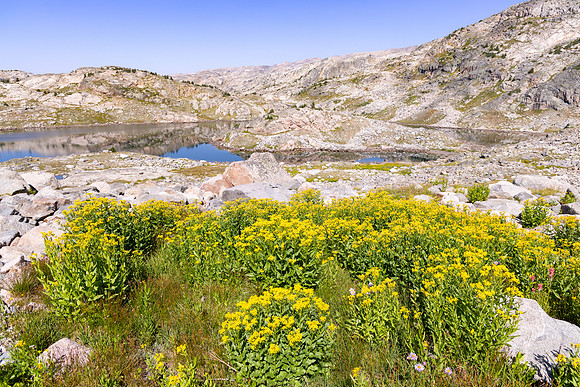 CGNF, AB Wilderness: Big Butte Lake (3)