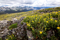 Ross Avens and Never Summer Mountain