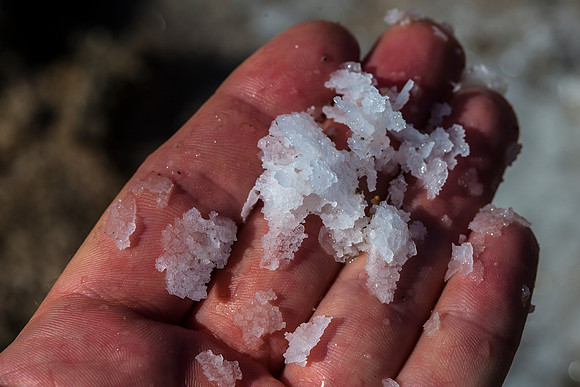 Fresh Sea Salt