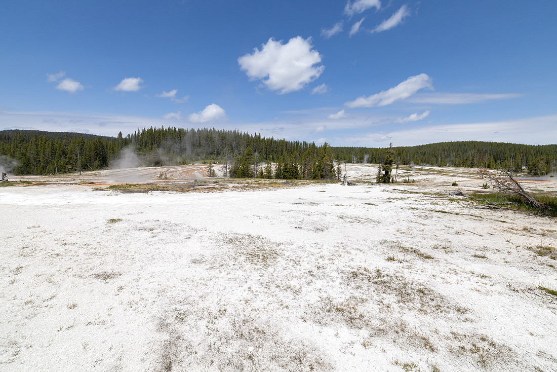 Shoshone Geyser Basin: trail through former thermal area
