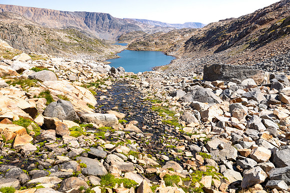 CGNF, AB Wilderness: hiking west of Cladocera Lake (3)