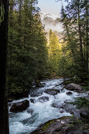 Avalanche Creek and Cloudy Cannon