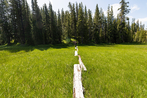 Hiker on foot bridge to enter Shoshone Geyser Basin (2)
