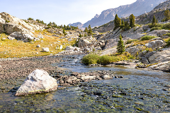 CGNF, AB Wilderness: Flat Rock Lake to Alp Lake (3)