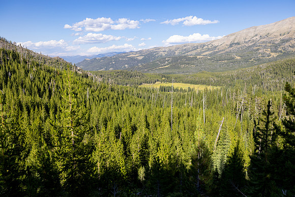 View of Mulherun Creek drainage