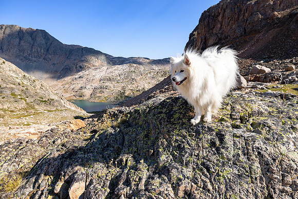CGNF, AB Wilderness: Copepod Lake to Flat Rock Lake (8)