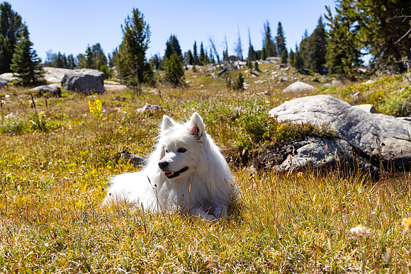 CGNF, AB Wilderness: Farley Lake (3)