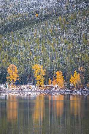 Fall Colors at Lake McDonald (2)
