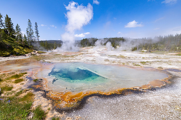 Shoshone Geyser Basin: Rosette Spring and steam from Minute Man