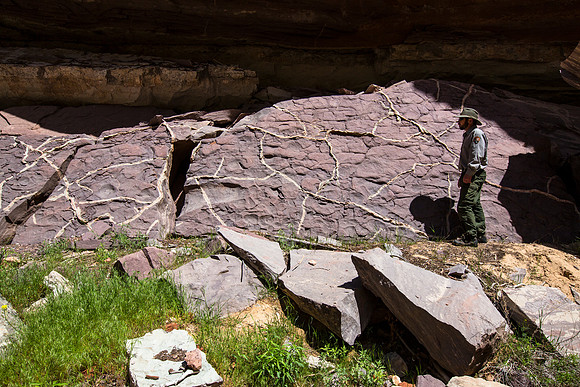 Mud Cracks Near Big Joe