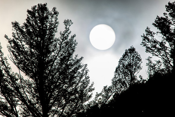 Foggy Sunrise