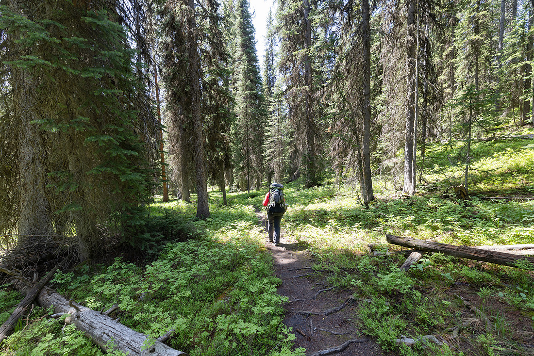Backpacker along the North Shore Shoshone Lake Trail (2)