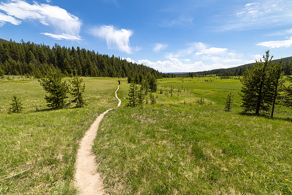 Hikers on the Delacy Creek Trail