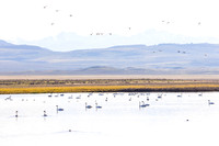 Red Rock Lakes National Wildlife Refuge