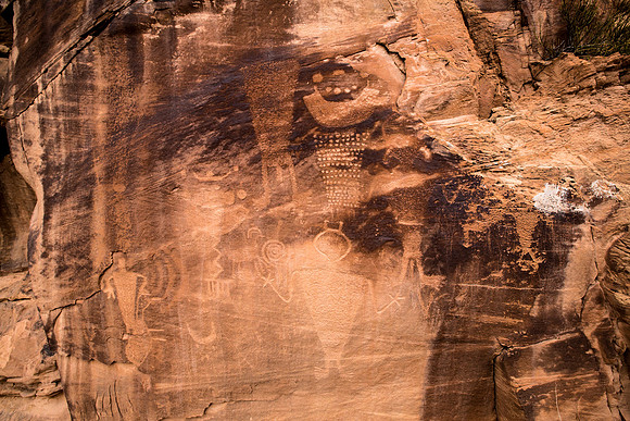 Petro Wall #2 in DINO