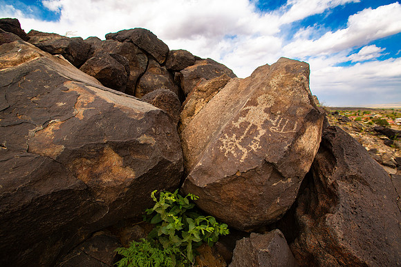 petroglyph NM