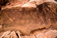 Petro Wall in DINO
