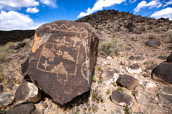 petroglyph NM