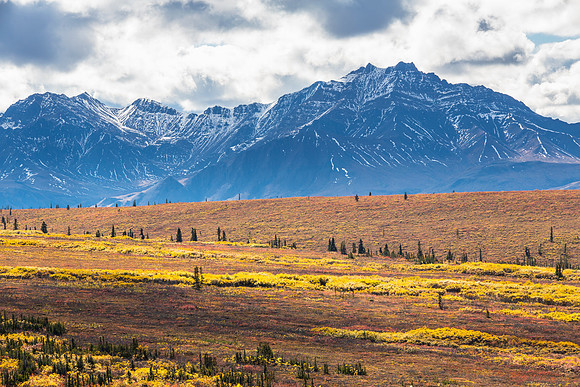 denali