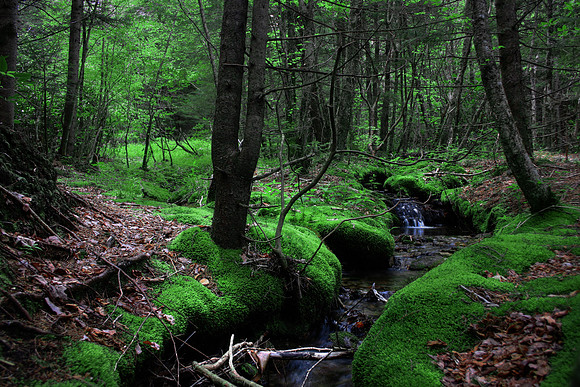 KW2 - Pisgah National Forest