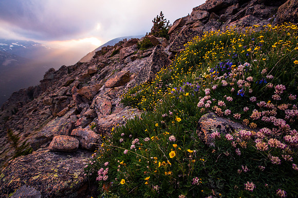 South Ute Trail Ridge Sunset
