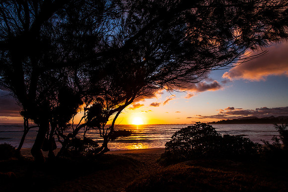 Last Sunset
