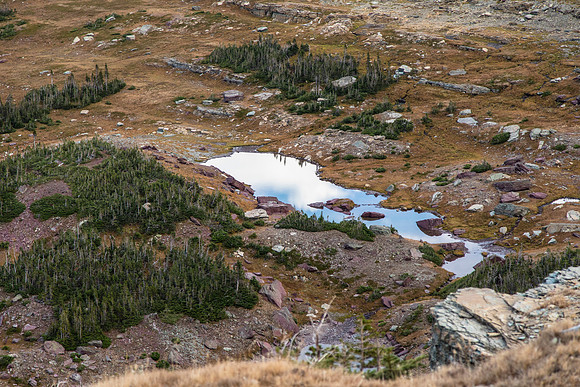 Alpine Pools at Logan Pass
