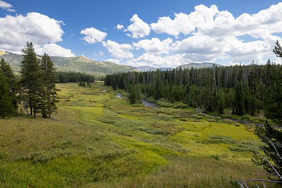 Fan Creek Trail: views of Fan Creek