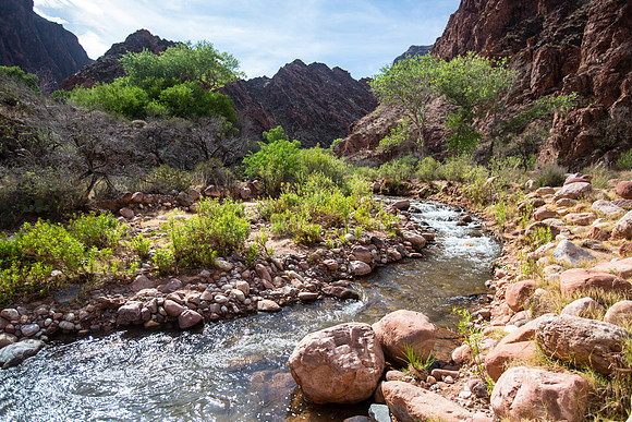 Bright Angel Creek Looking Upstream