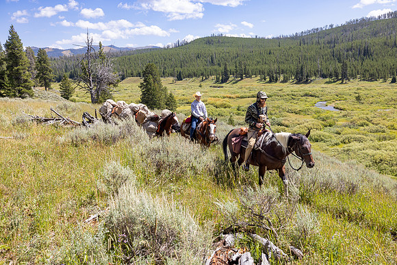 Fan Creek Trail: Stock outfitters heading back to the trailhead